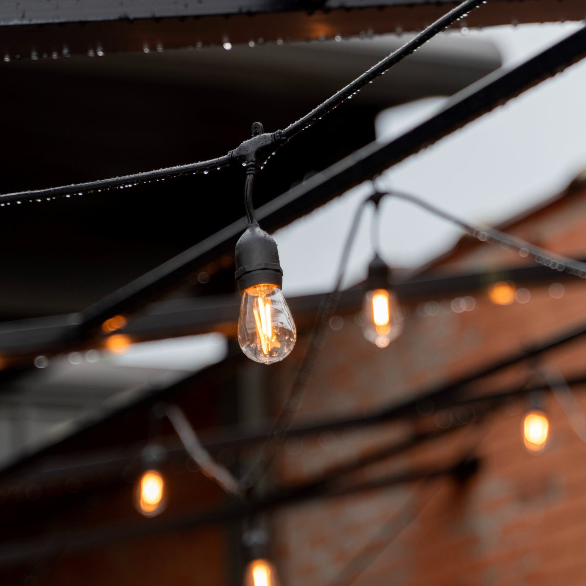 Brighten Up Any Occasion with HLO Lighting’s Patio Lights - HLO Lighting