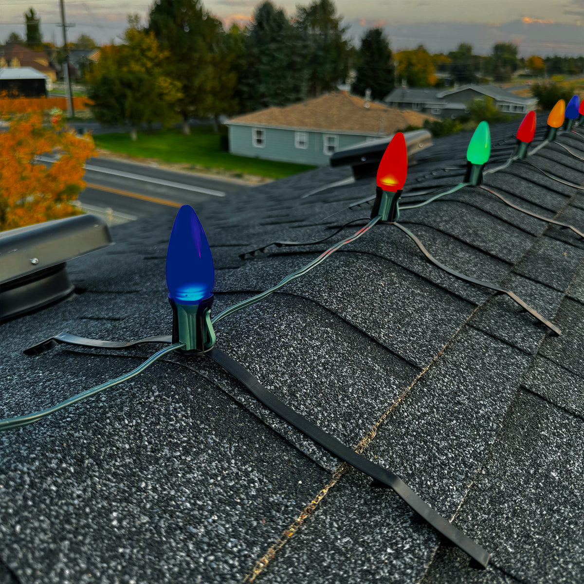 C9 LED Christmas Light Bulbs | Frosted