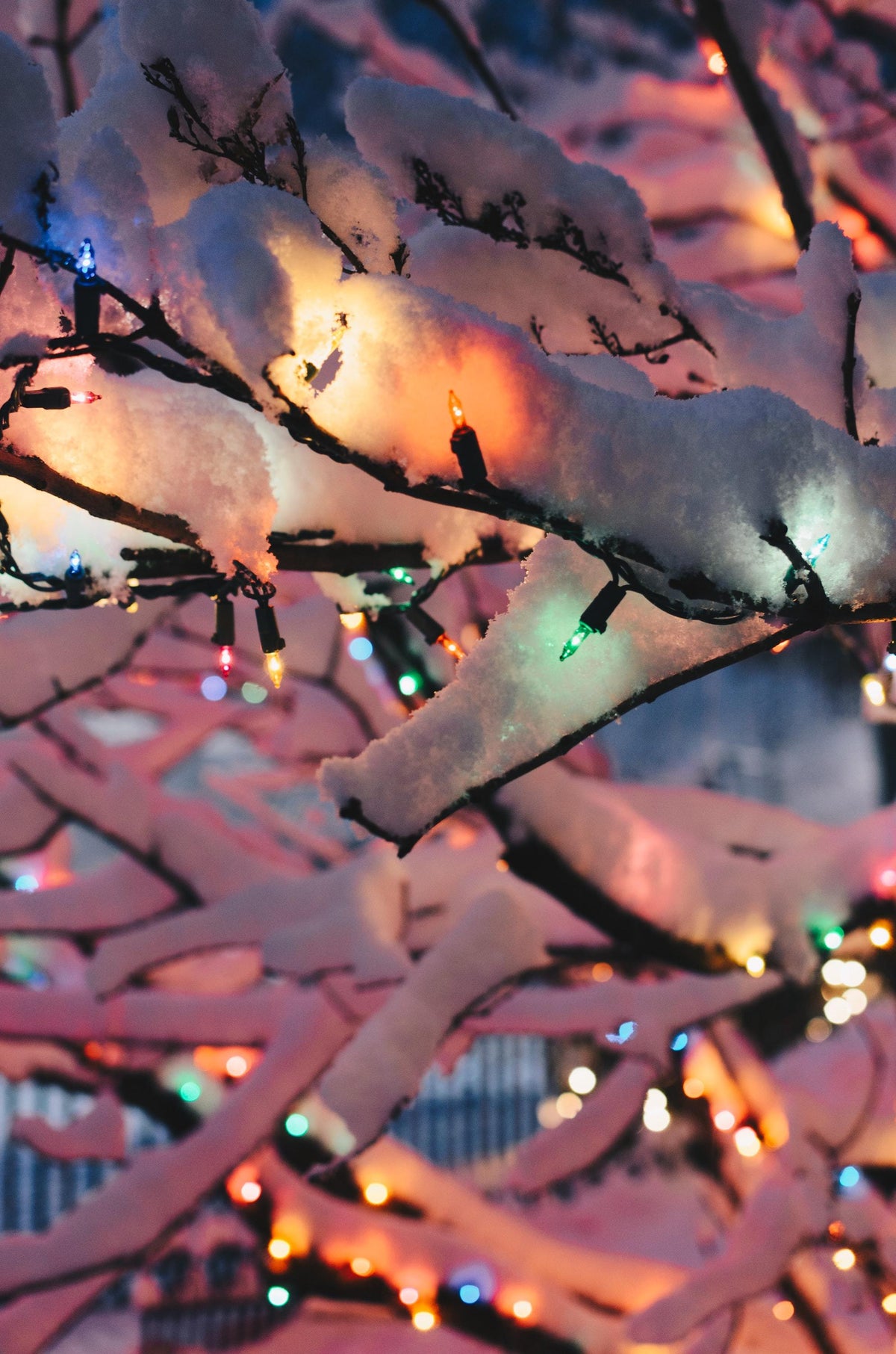 Making Every Occasion Shine with HLO Lighting’s Mini Lights - HLO Lighting