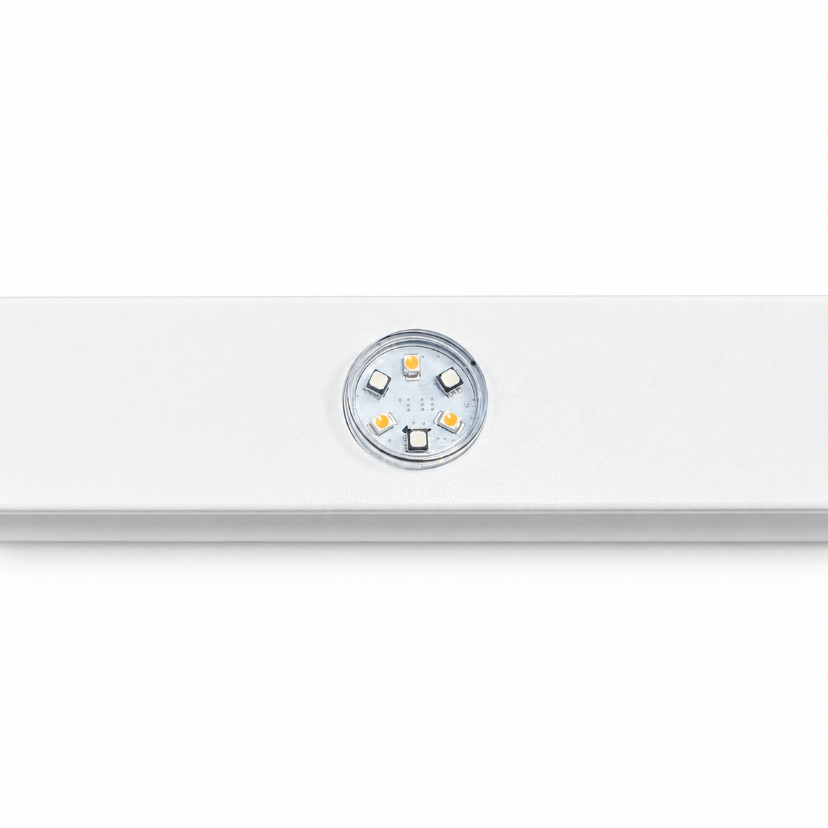 48V RGBW Permanent Lighting – 33 ft Light Run